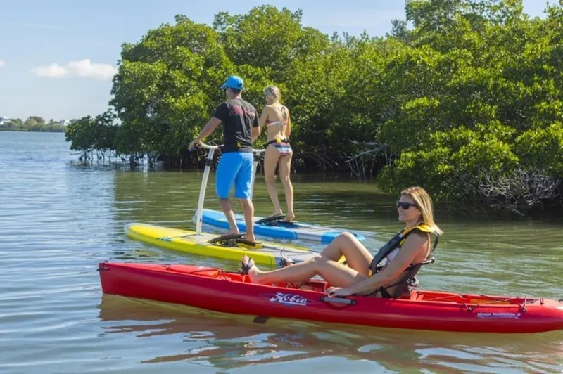 Slide: The Image of People kayaking and paddleboarding on a calm lake with lush greenery in the background. - 1