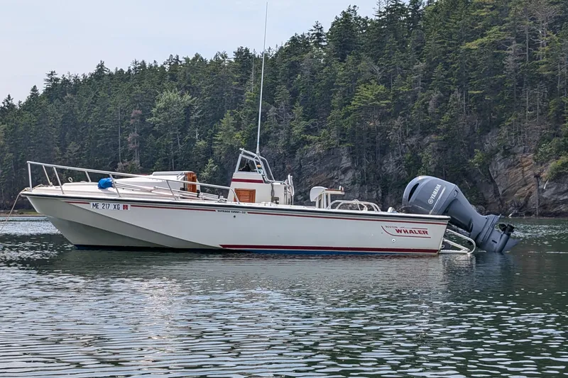 The Image of 1990 Boston Whaler OUTRAGE CUDDY boat anchored on calm water near forested shoreline. - 0
