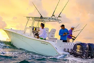 Slide: The Image of Manufacturer Provided Image: 2015 Sea Fox 286 Commander boat with anglers fishing at sunset. - 1