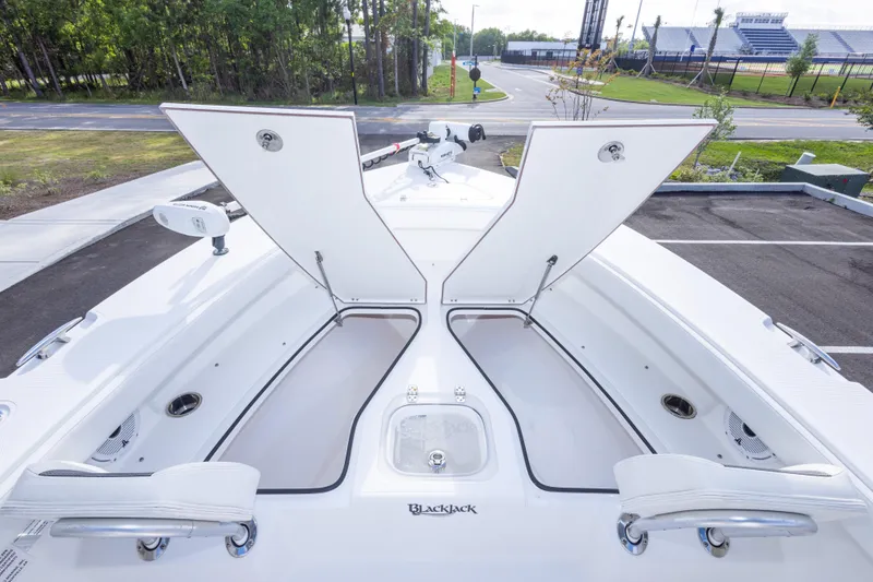 Slide: The Image of 2022 BlackJack 256 Coastal boat with open storage compartments, showcasing sleek design and spacious layout. - 37