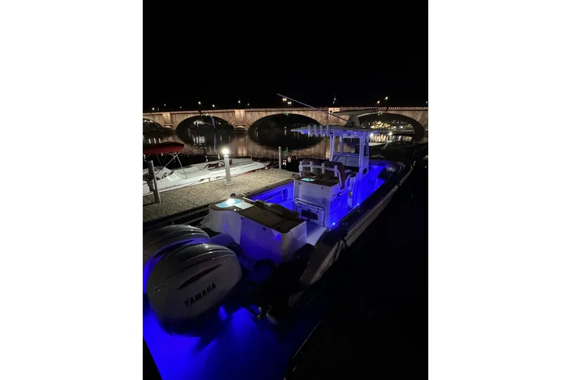 Slide: The Image of 2024 NauticStar 292 Legacy boat illuminated at night by a bridge. - 17