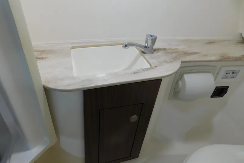 Slide: The Image of 2022 Pursuit DC 266 Dual Console bathroom sink with faucet and storage cabinet. - 38