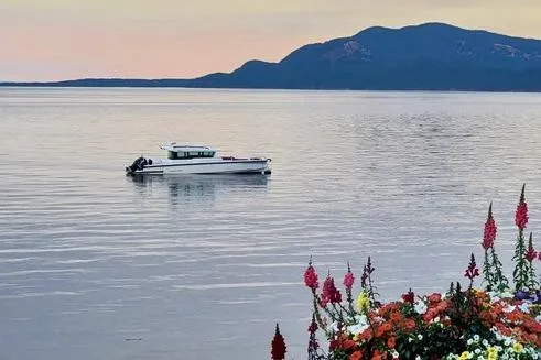 Slide: The Image of 2020 Axopar 37 XC Cross Cabin on serene water with colorful flowers in the foreground. - 6