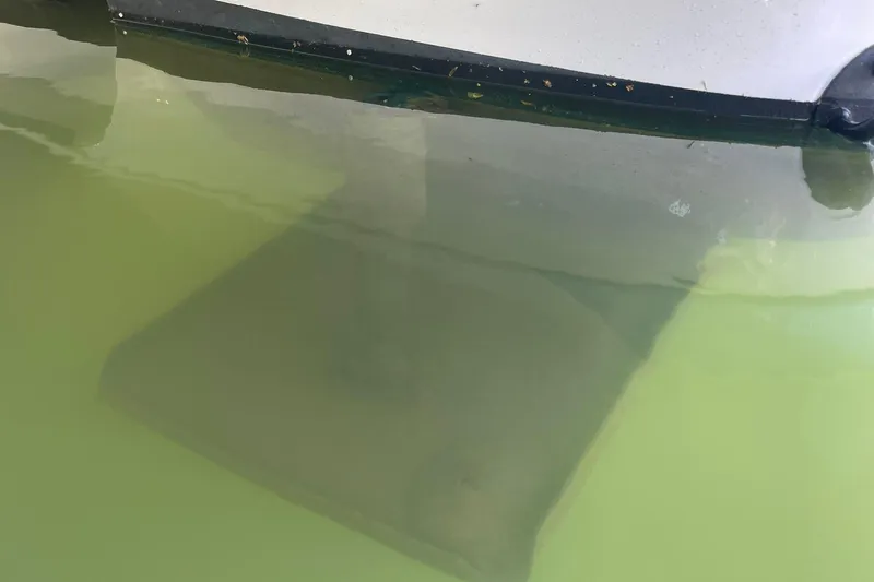 Slide: The Image of FRESHLY BARRIER COATED, ANTI-FOULANT PAINT, AND TREATMENT FOR THE UNDERWATER GEAR. PROP SPEED ON THE OUTDRIVE!! - 71