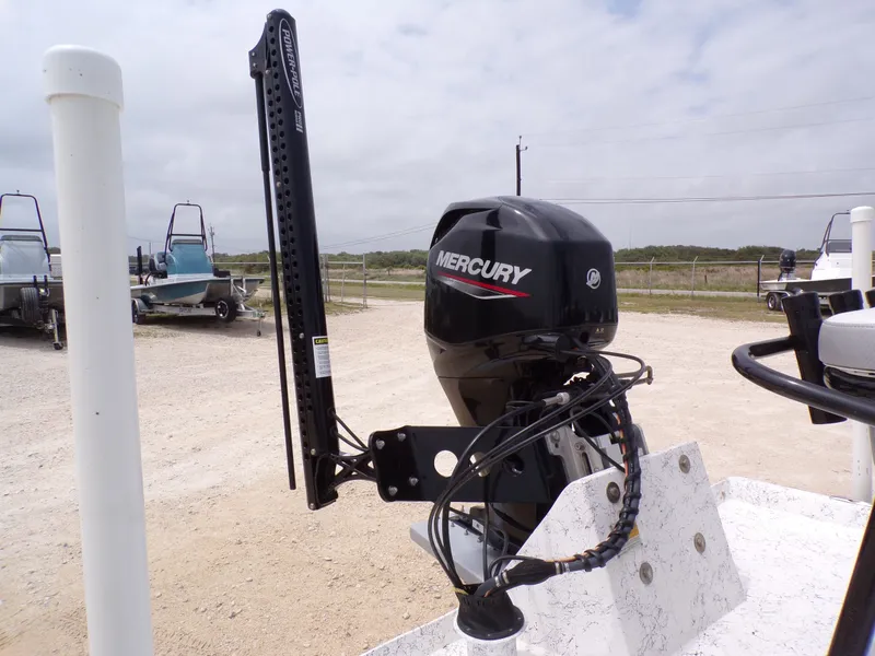 Slide: The Image of 2024 Freedom 14 CHIQUITA boat with Mercury outboard motor. - 23