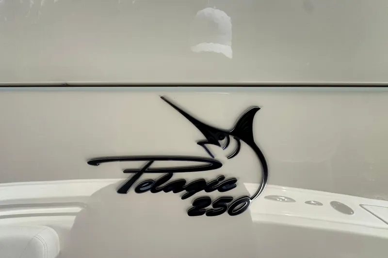 Slide: The Image of 2026 Pioneer 250 Pelagic logo on boat exterior. - 22