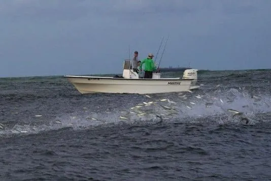 Slide: The Image of Two people fishing on a 1993 Maritime Skiff 2090cc, surrounded by jumping fish. - 3