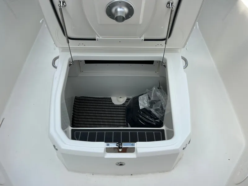 Slide: The Image of An open storage compartment on a Boston Whaler 250 Dauntless boat, featuring a black mat and a bag. - 18