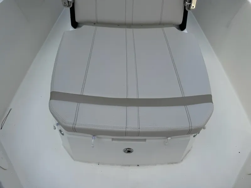 Slide: The Image of The 2027 Boston Whaler 250 Dauntless features a cushioned bench seat with storage underneath. - 21