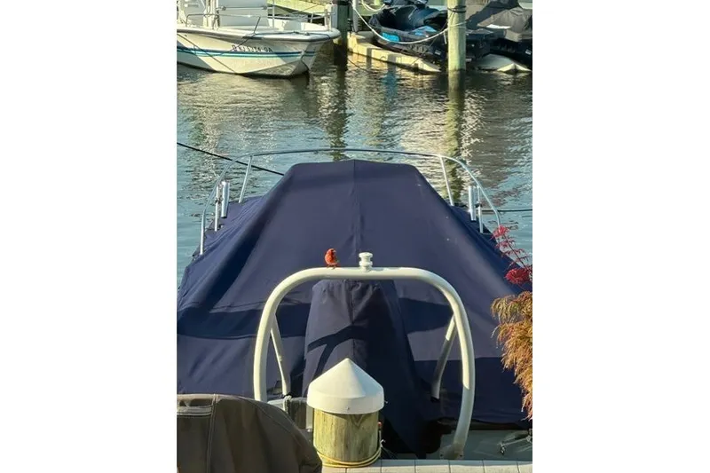 Slide: The Image of 2025 Boston Whaler 170 Montauk covered at dock with a bird perched on top. - 8