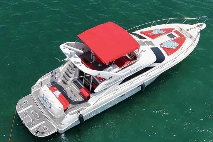 The Image of 2002 Sea Ray 450 Express Bridge yacht with red canopy, floating in clear water. - 0