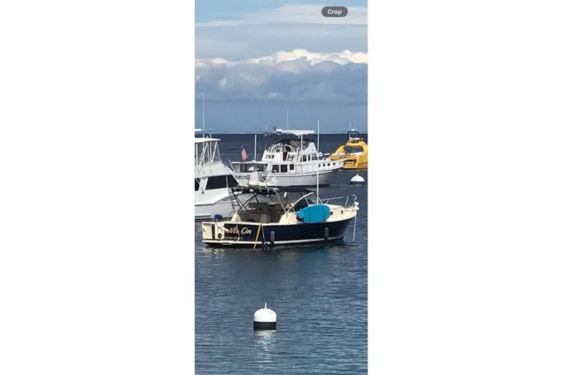 Slide: The Image of 2004 Mainship Pilot 34 boat anchored in a calm harbor with other vessels. - 4