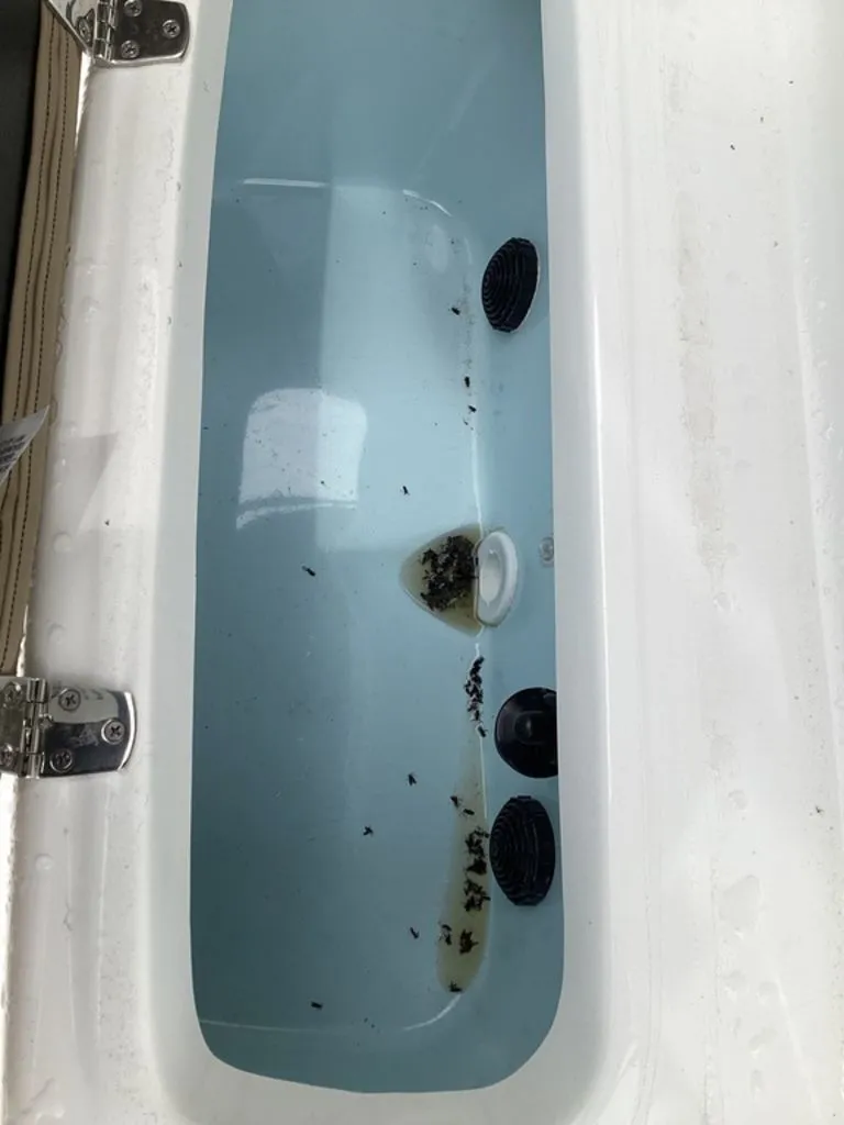 Slide: The Image of Blazer PureBay 2400 2026 boat compartment with water and debris. - 46