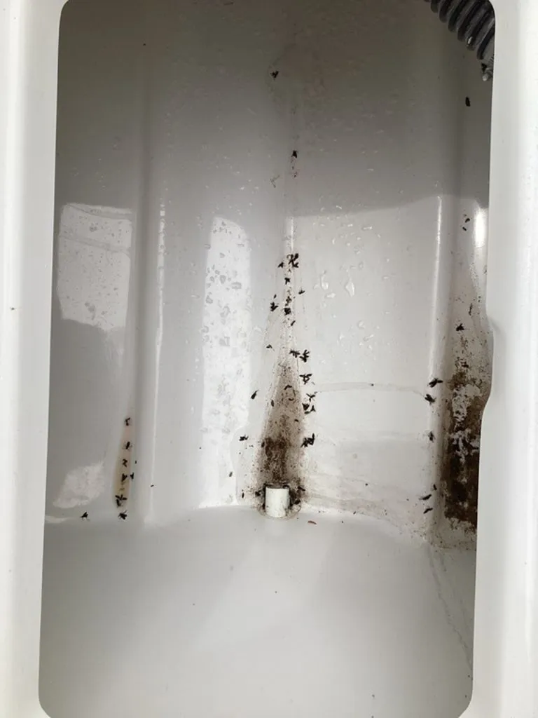 Slide: The Image of Interior of Blazer PureBay 2400 with dirt and insects. - 47