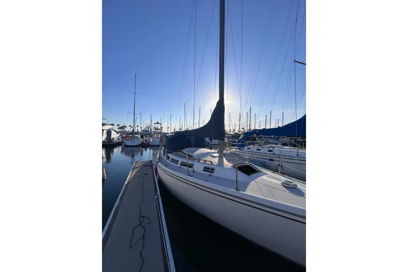 The Image of 1981 Catalina 30 sailboat docked at marina under clear blue sky. - 1