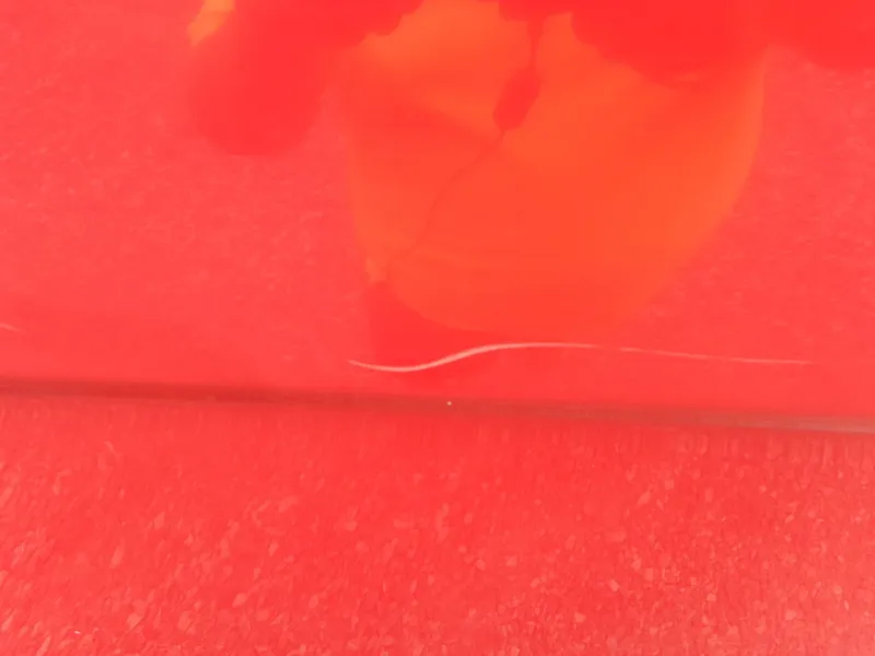 Slide: The Image of Close-up of a red 2008 Yamaha AR210 boat. - 10