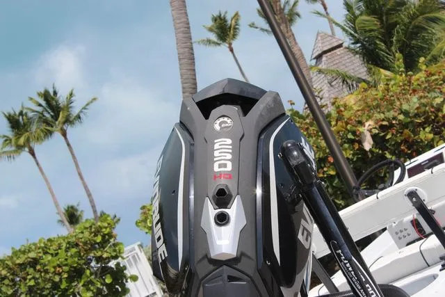Slide: The Image of 2019 Beavertail Lightning outboard motor with palm trees background. - 10