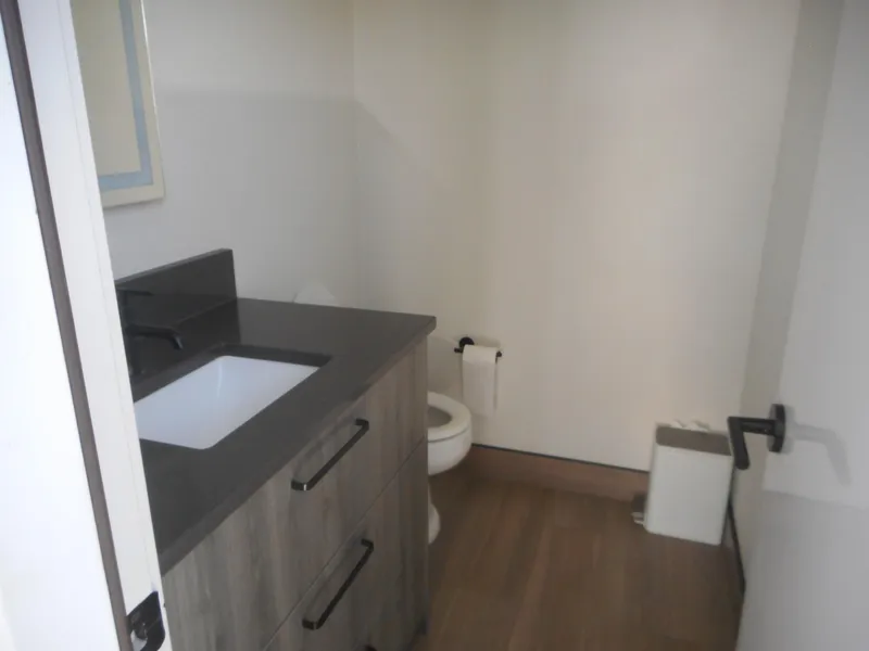 Slide: The Image of Modern bathroom with dark vanity, sink, and toilet in Adonia Obsession Trip #12, 2021 model. - 9