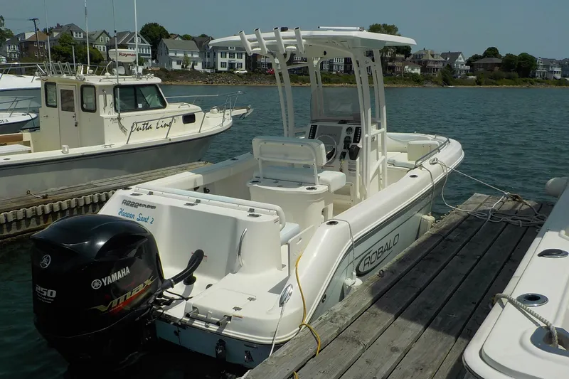 The Image of 2019 Robalo R222 Center Console boat docked with Yamaha engine, in a scenic harbor. - 0