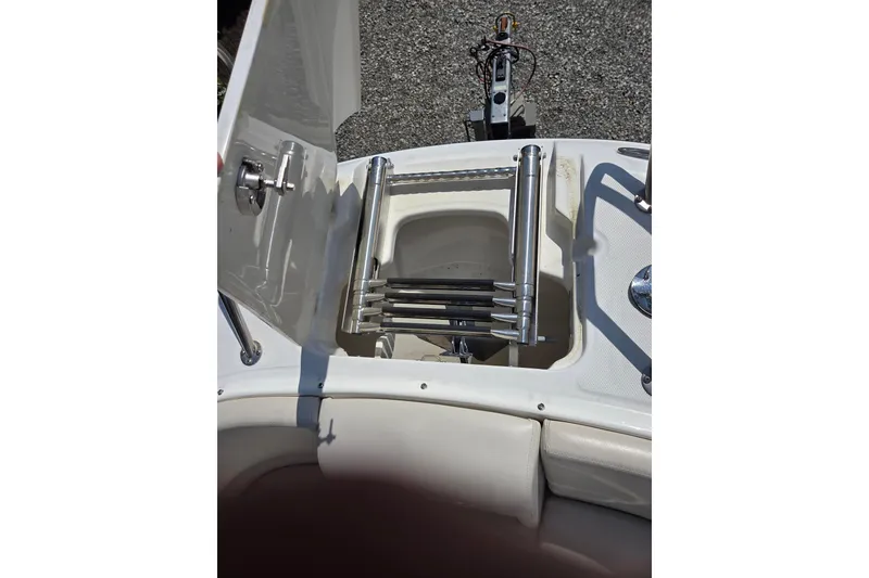 Slide: The Image of 2018 Boston Whaler 230 Vantage boat ladder and storage compartment. - 16