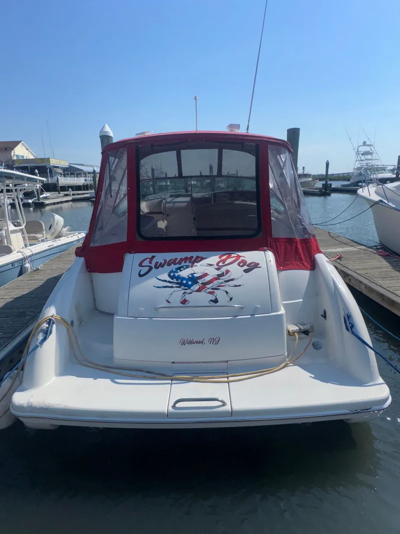Slide: The Image of 2001 Formula 37 Super Sport boat docked, featuring "Swamp Dog" design. - 2