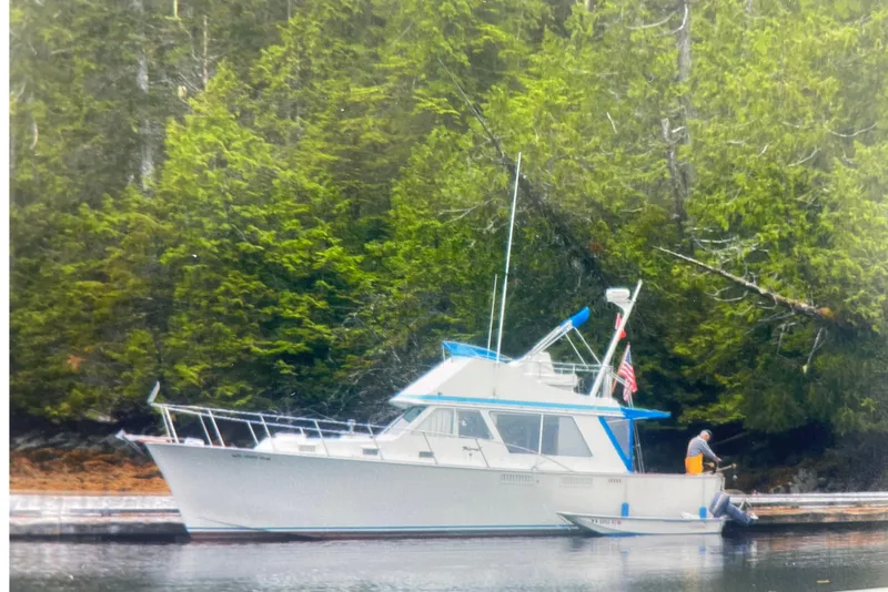 The Image of 1974 Tollycraft 37 Sedan yacht docked in a serene forested area. - 0