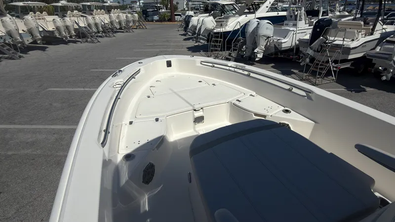 Slide: The Image of Boston Whaler 250 Dauntless 2027 - 8