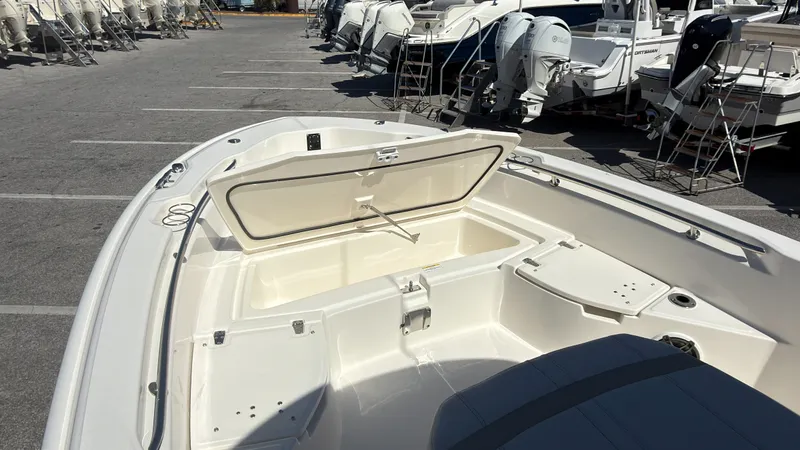 Slide: The Image of Boston Whaler 250 Dauntless 2027 - 10