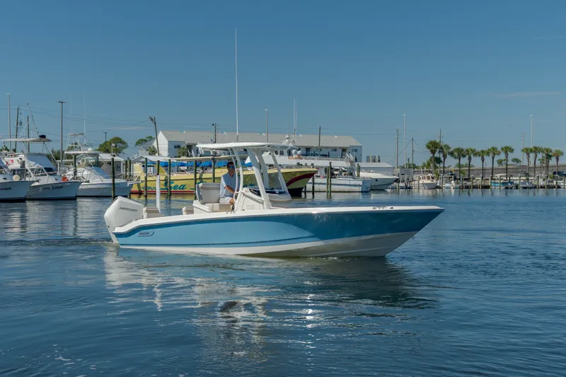 Slide: The Image of Boston Whaler 250 Dauntless 2027 - 5