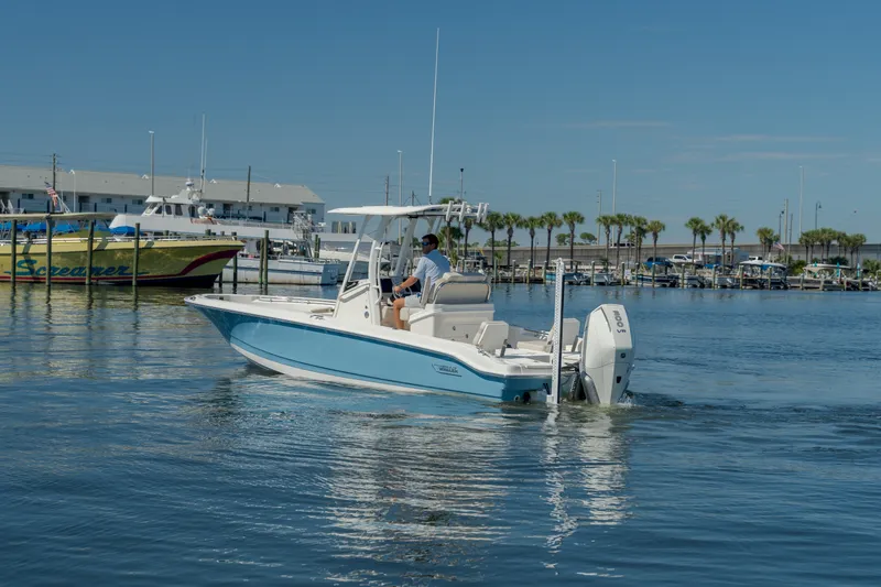 Slide: The Image of Boston Whaler 250 Dauntless 2027 - 1