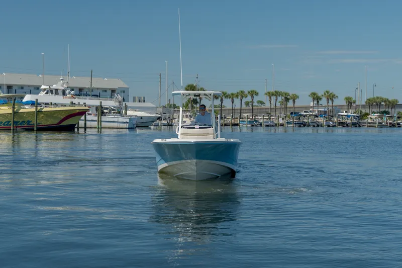 Slide: The Image of Boston Whaler 250 Dauntless 2027 - 6