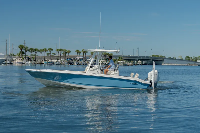 The Image of Boston Whaler 250 Dauntless 2027 - 0