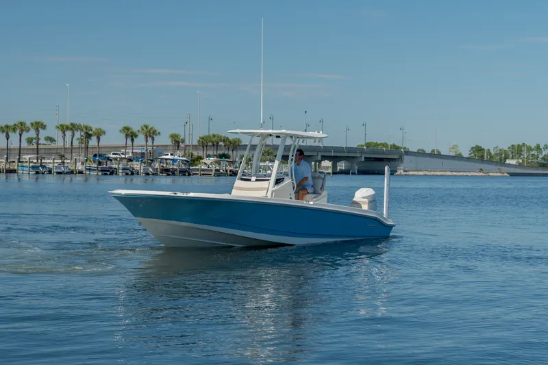 Slide: The Image of Boston Whaler 250 Dauntless 2027 - 7