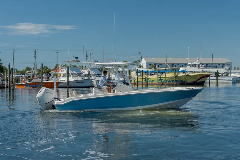 Slide: The Image of Boston Whaler 250 Dauntless 2027 - 4