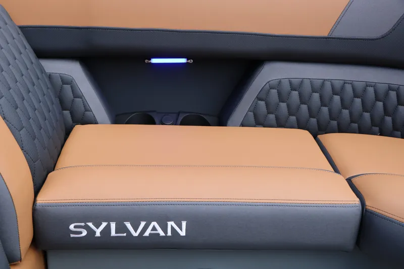 Slide: The Image of Sylvan L3 DLZ Bar Platinum Edition seating, luxurious design, 2026 model. - 22