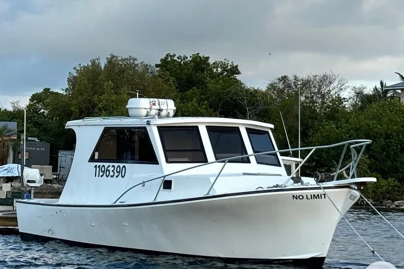 The Image of 2005 Crusader 34 SF boat named "No Limit" docked near lush greenery. - 1