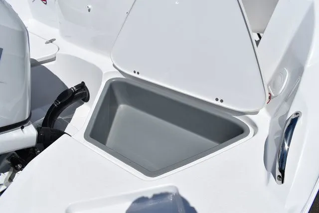Slide: The Image of Stingray 211 DC 2026 - 20