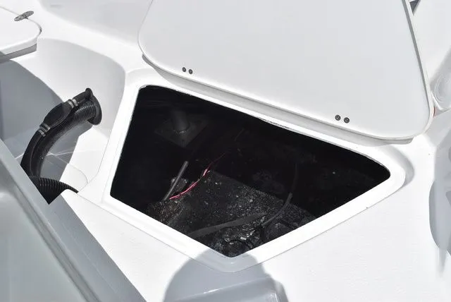 Slide: The Image of Stingray 211 DC 2026 - 21
