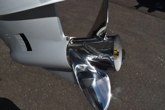 Slide: The Image of Stingray 211 DC 2026 - 66