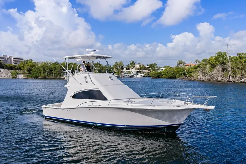 The Image of 2005 Luhrs 38 Convertible yacht cruising on a scenic waterway under a cloudy sky. - 1
