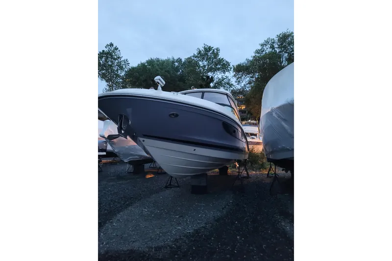 Slide: The Image of Sea Ray SLX 350 Outboard 2017 - 44