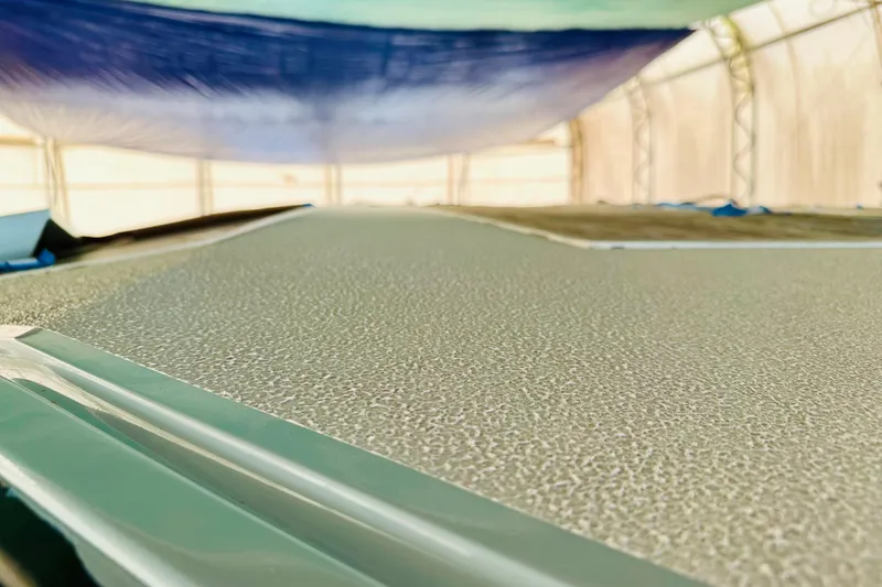 Slide: The Image of Close-up of textured surface under a canopy, Alibi 54 model, 2011. - 12