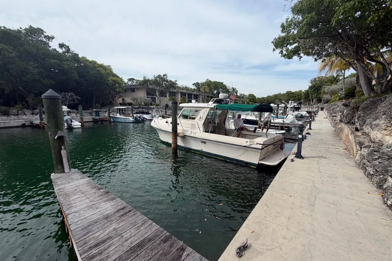 Slide: The Image of 2005 Albin 28 Tournament Express docked in a serene marina setting. - 26