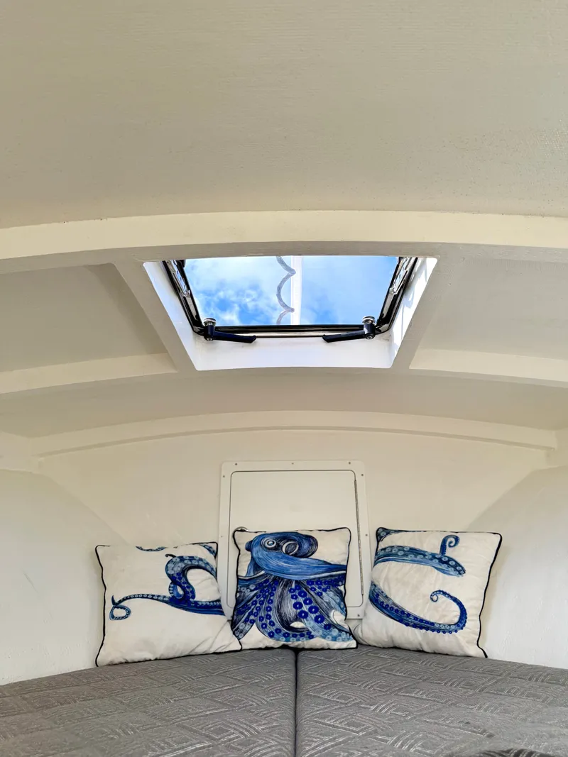 Slide: The Image of Interior of a 1973 Custom Carolina 27 National boat with octopus-themed pillows. - 23
