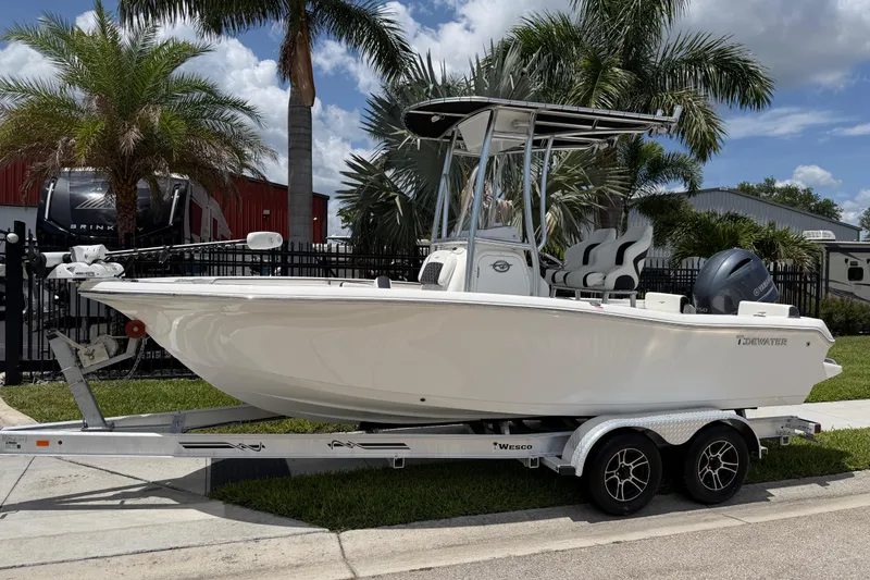 The Image of 2023 Tidewater 198 CC Adventure boat on trailer, parked near palm trees. - 1