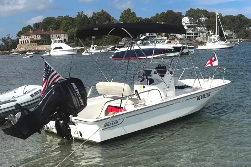 Slide: The Image of 2019 Boston Whaler 150 Montauk boat anchored in scenic harbor with other vessels. - 24