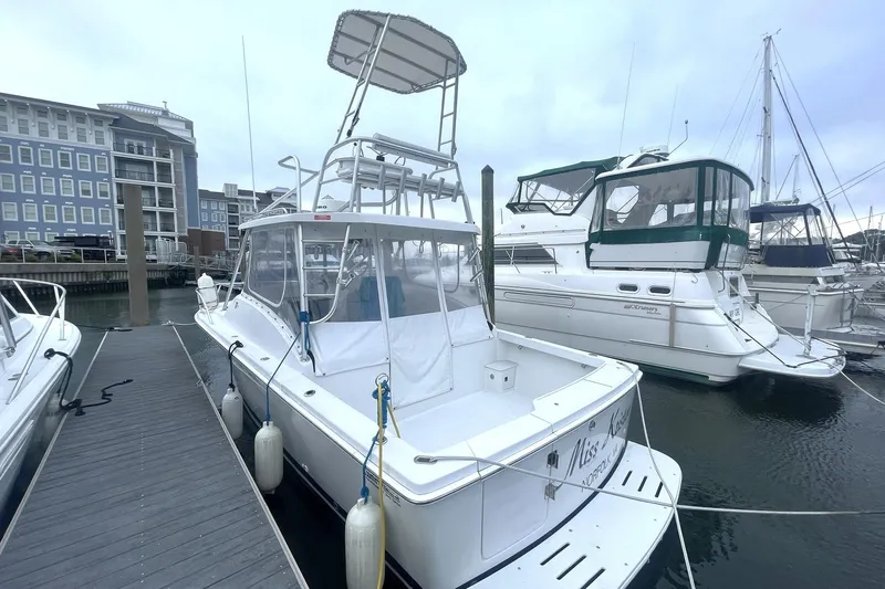 The Image of Luhrs Tournament 290 Open 1996 - undefined