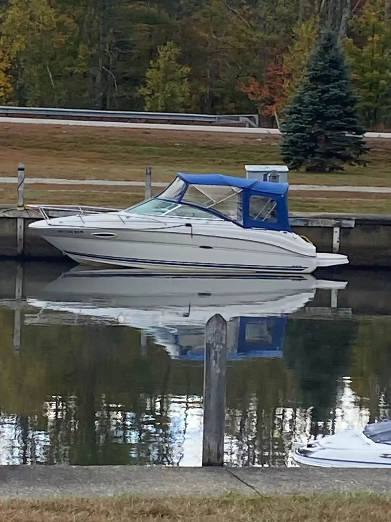 The Image of Sea Ray 225WE 2001 - undefined