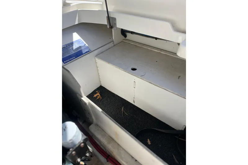 Slide: The Image of 2011 Sea Ray 260 Sundeck interior storage compartment with black mat and leaves. - 32