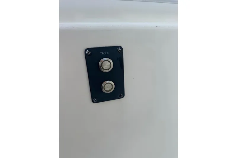 Slide: The Image of Control panel on 2017 Cobia 296 Center Console boat with two buttons labeled "Table." - 45